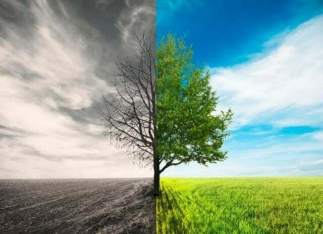 Green Punjab App 2026: Report Smog & Track Complaints